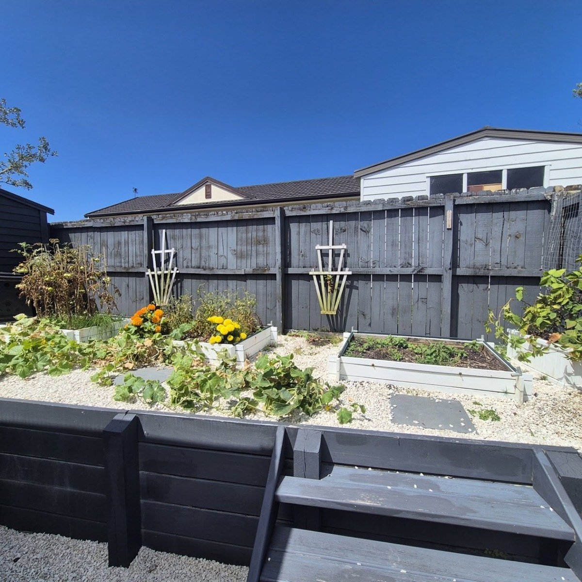 Raised vege beds and garden makeover