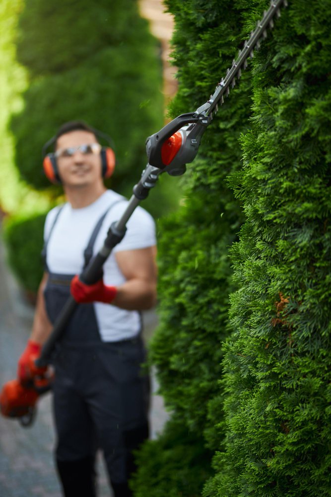 Lawn & Maintenance